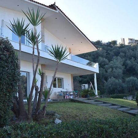 Ολόκληρος Όροφος Αγροτική Οικία Lejlighed Néos Pírgos Eksteriør billede