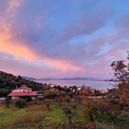 Ολόκληρος Όροφος Αγροτική Οικία Lejlighed Néos Pírgos Eksteriør billede