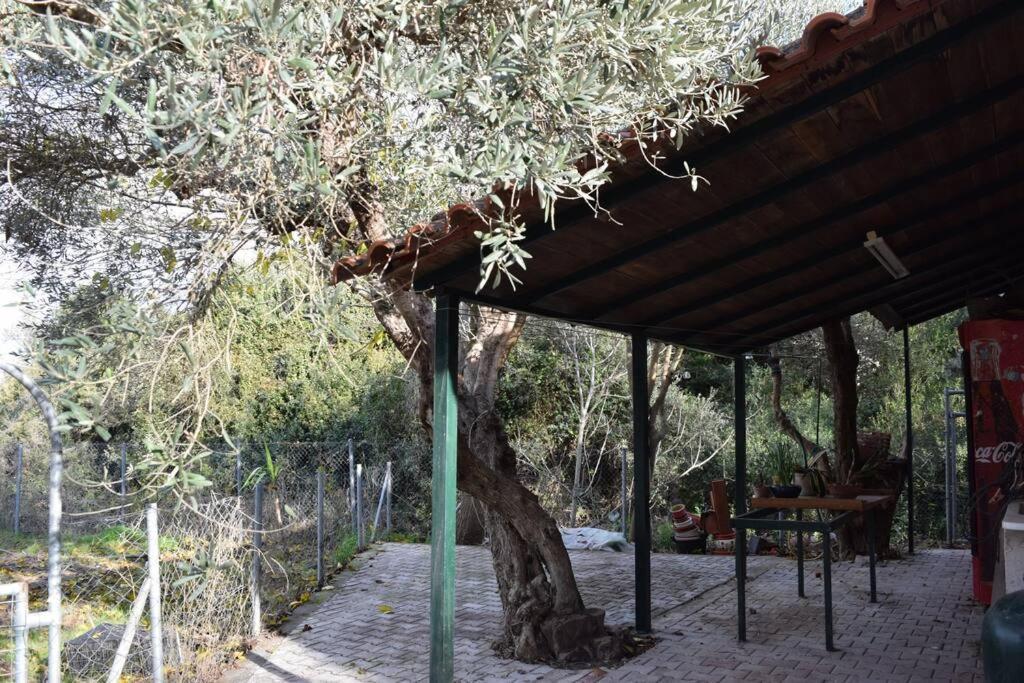 Ολόκληρος Όροφος Αγροτική Οικία Lejlighed Néos Pírgos Eksteriør billede