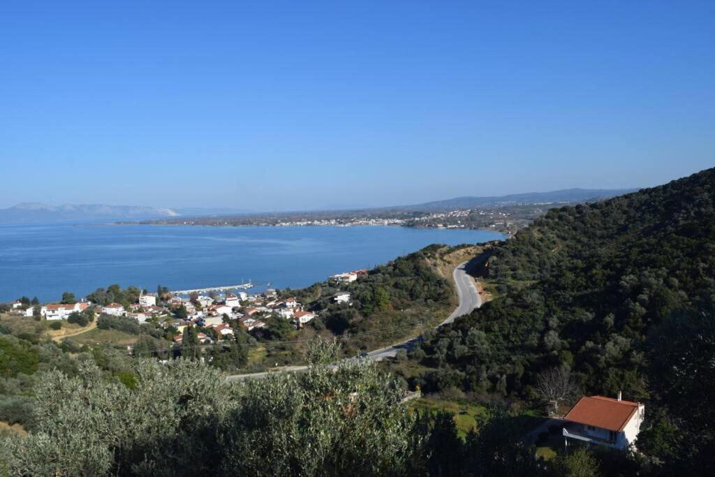 Ολόκληρος Όροφος Αγροτική Οικία Lejlighed Néos Pírgos Eksteriør billede