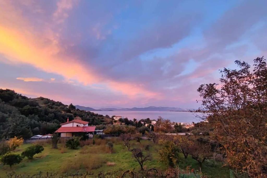 Ολόκληρος Όροφος Αγροτική Οικία Lejlighed Néos Pírgos Eksteriør billede